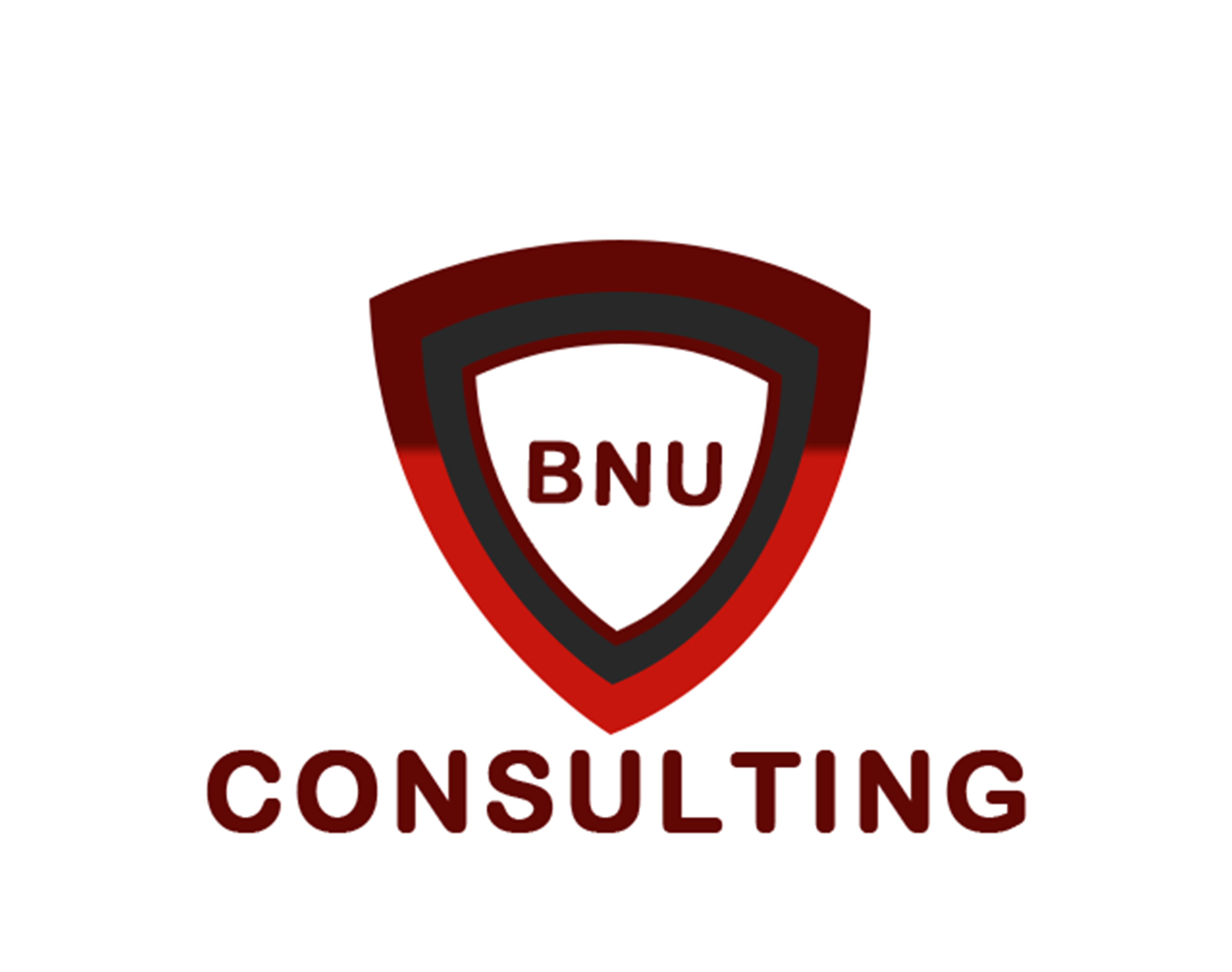 BNU Consulting
