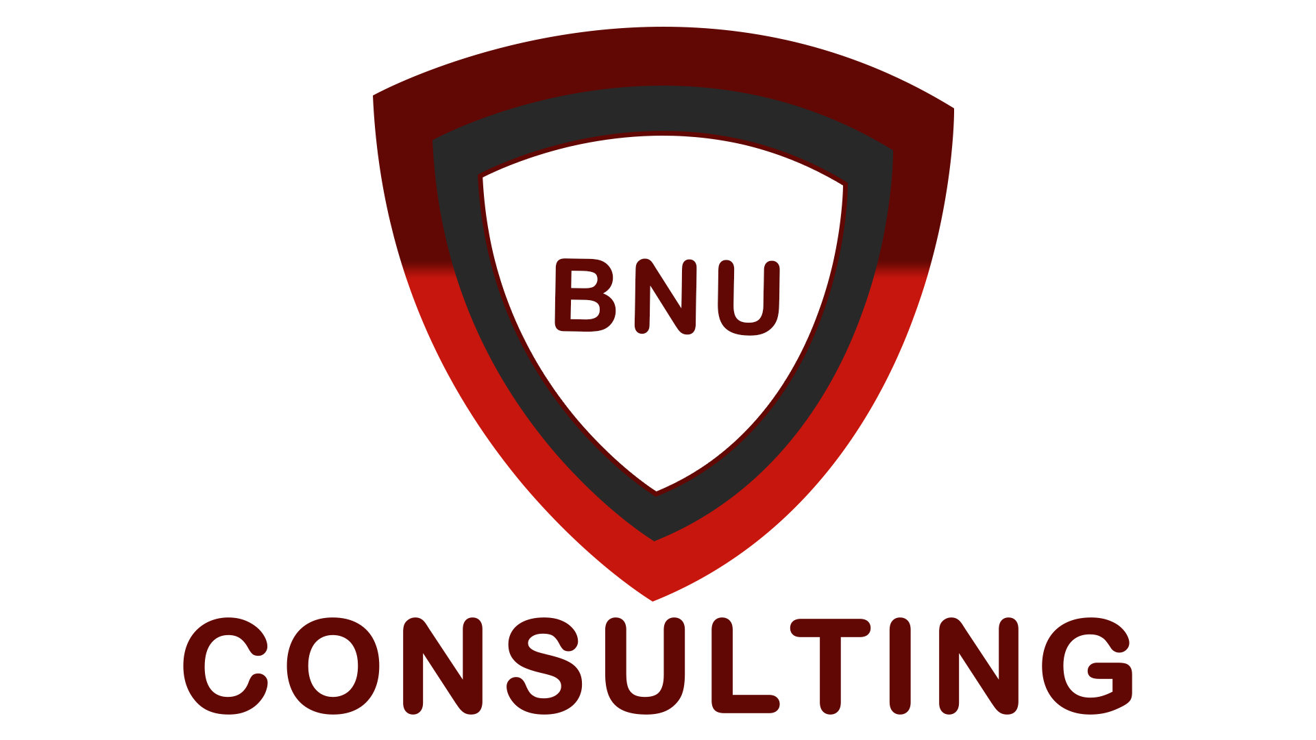 BNU Consulting
